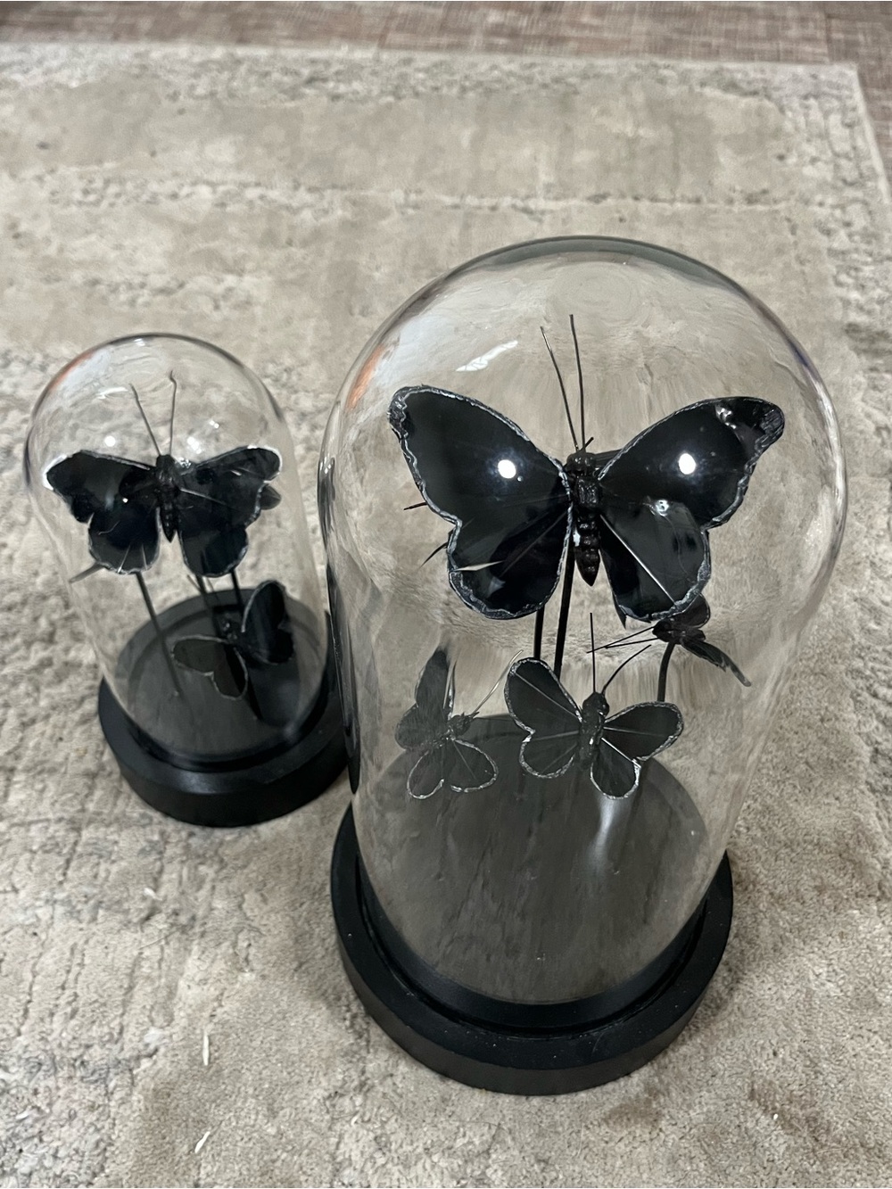 Black Butterfly Glass Dome Décor - Set of 2